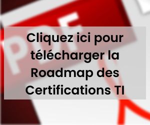 IT Roadmap FRA